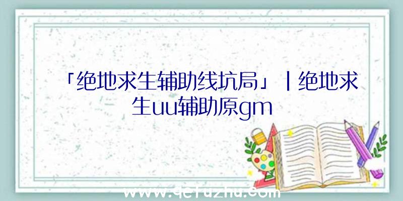 「绝地求生辅助线坑局」|绝地求生uu辅助原gm